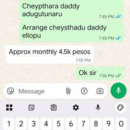Edit Text in Screenshot