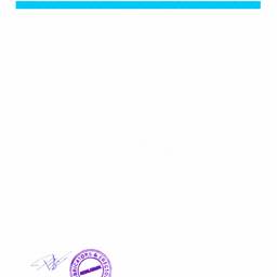 Clean Document Template