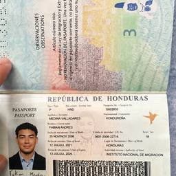 Antes - Edición de coincidencia de foto de pasaporte
