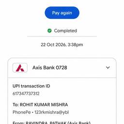 UPI Payment Date Edit