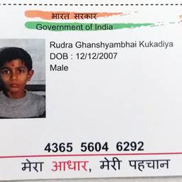 Aadhaar Card Year Edit