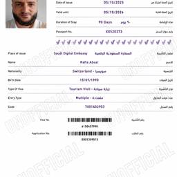 Unofficial Visa Mockup