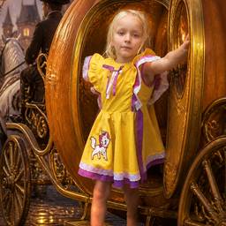 Avant - Modification de Couronne de Princesse Disney