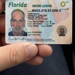 Driver's License in Hand
