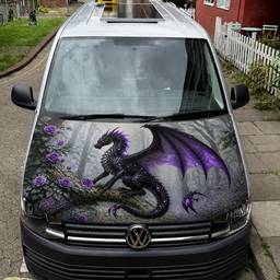 Dragon Van Hood Wrap