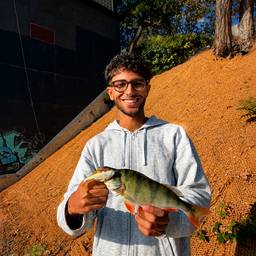 Vertical Fishing Catch
