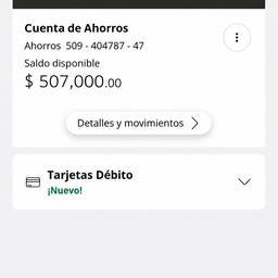 Bank Balance Screenshot Edit