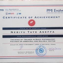 Certificate Text Edit AI