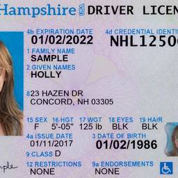 Driver's License Face Swap