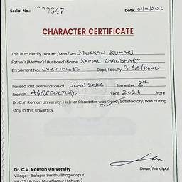 Before - University Certificate Edit