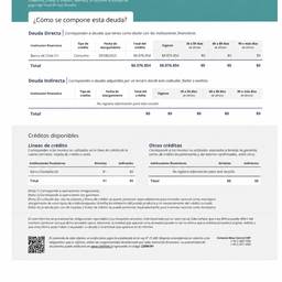 Zero Out Debt Report