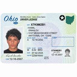 Ohio Driver's License Edit
