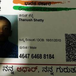 Aadhaar Birth Year Edit