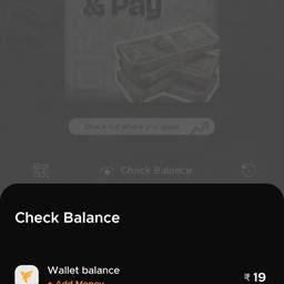 Edit Amount in Screenshot