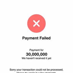 Payment Failed Screenshot Edit