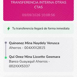 Before - Bank Transfer Date Edit
