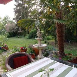 Vorher - Gartenbearbeitung mit blauem Himmel