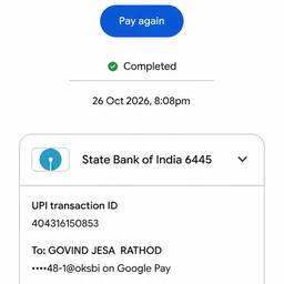 UPI Payment Screenshot Edit