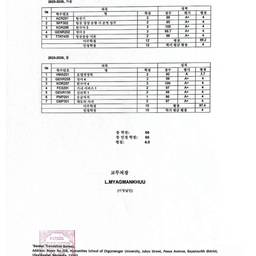 Before - Korean Document Enhancer
