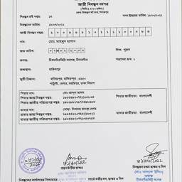Birth Certificate Date Edit