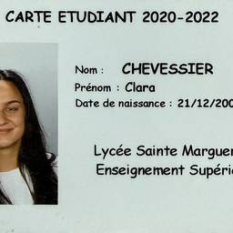 Update Date On Student Card AI - Free Online Tool | ImageGPT