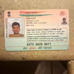 Aadhaar Card Year Edit