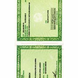 Brazilian ID Date Change