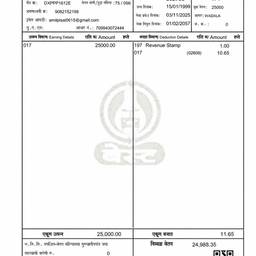 Edit Payslip Amount