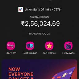 Bank Balance Screenshot Edit
