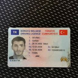 Driving License Birth Year Edit