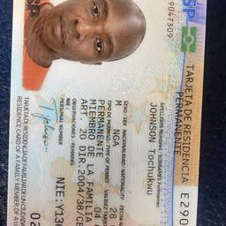 ID Card Photo Swap