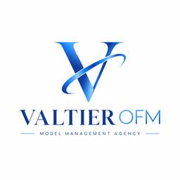 Antes - Recorte transparente do logo Valtier