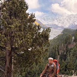Mountain Rider With Rifle