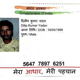 Update Government Id Details With AI - Free Online Tool | ImageGPT