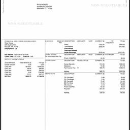 Pay Stub Date Edit