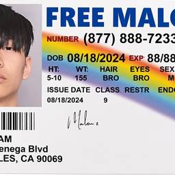 Driver's License HD Upscale