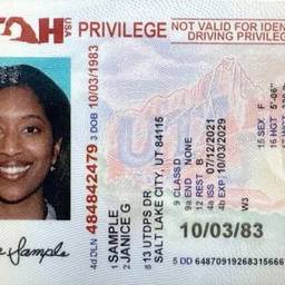 Antes - Intercambio de Rostro en Foto de Documento