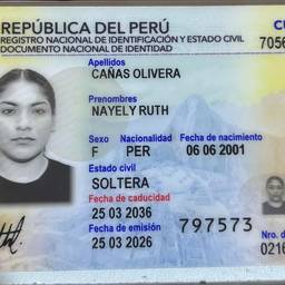 Before - Peruvian DNI Card Cutout