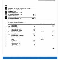 Bank Statement Amount Edit
