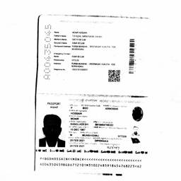 Passport Name Edit