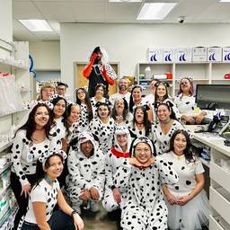 Before - 1209 Dalmatians Poster
