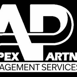 After - Apex Logo Recolor