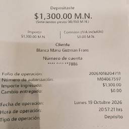 Bank Deposit Receipt Edit
