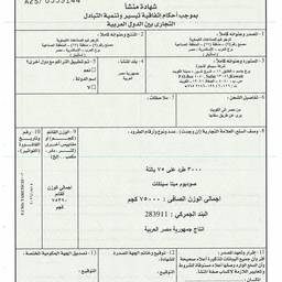 Edit Arabic Document Text