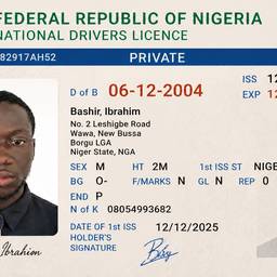 Nigerian Driver's License Cleanup