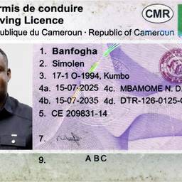 Driving Licence Photo Swap