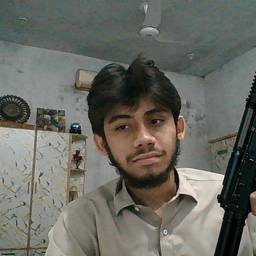 Swap Gun in Photo