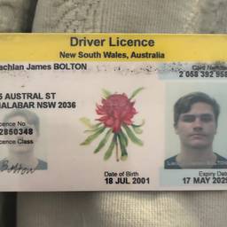 Before - Driver Licence Date Edit