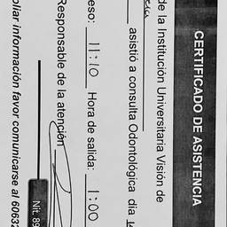Medical Certificate Edit