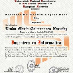 Flat Diploma Scan
